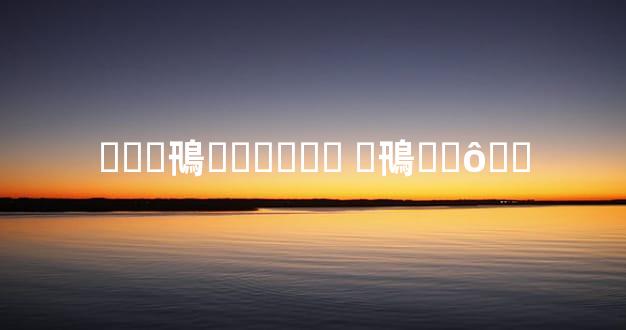 ���鳵������ �鳵��ô��